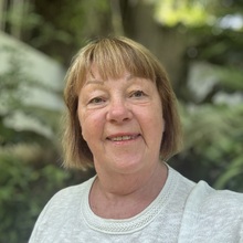 romy-diederich Avatar