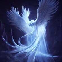 sabrina-kosak1 Avatar