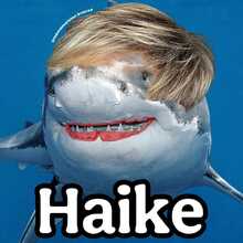 heike-meinert1 Avatar