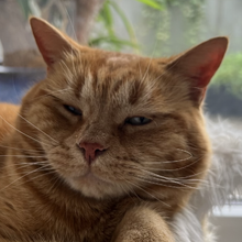 katharina-stucki1 Avatar