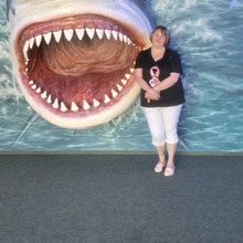 melanie-scherzinger Avatar