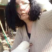 christiane-scheel Avatar