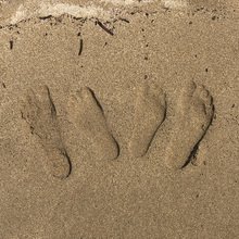 JasminSchillke Avatar