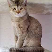 marion-konopka Avatar