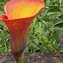 manuela-leitner2 Avatar