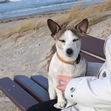 nicole-scholz7 Avatar