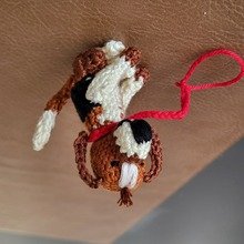 claudia-wohlert Avatar