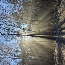 petra-marienfeld Avatar