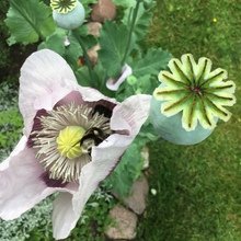 barbara-freiberg1 Avatar