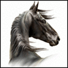 sabine-d358 Avatar