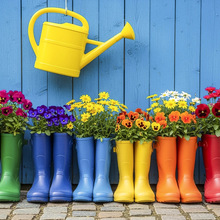 Eisvoggel1202 Avatar