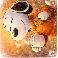 carola-gallaschik Avatar