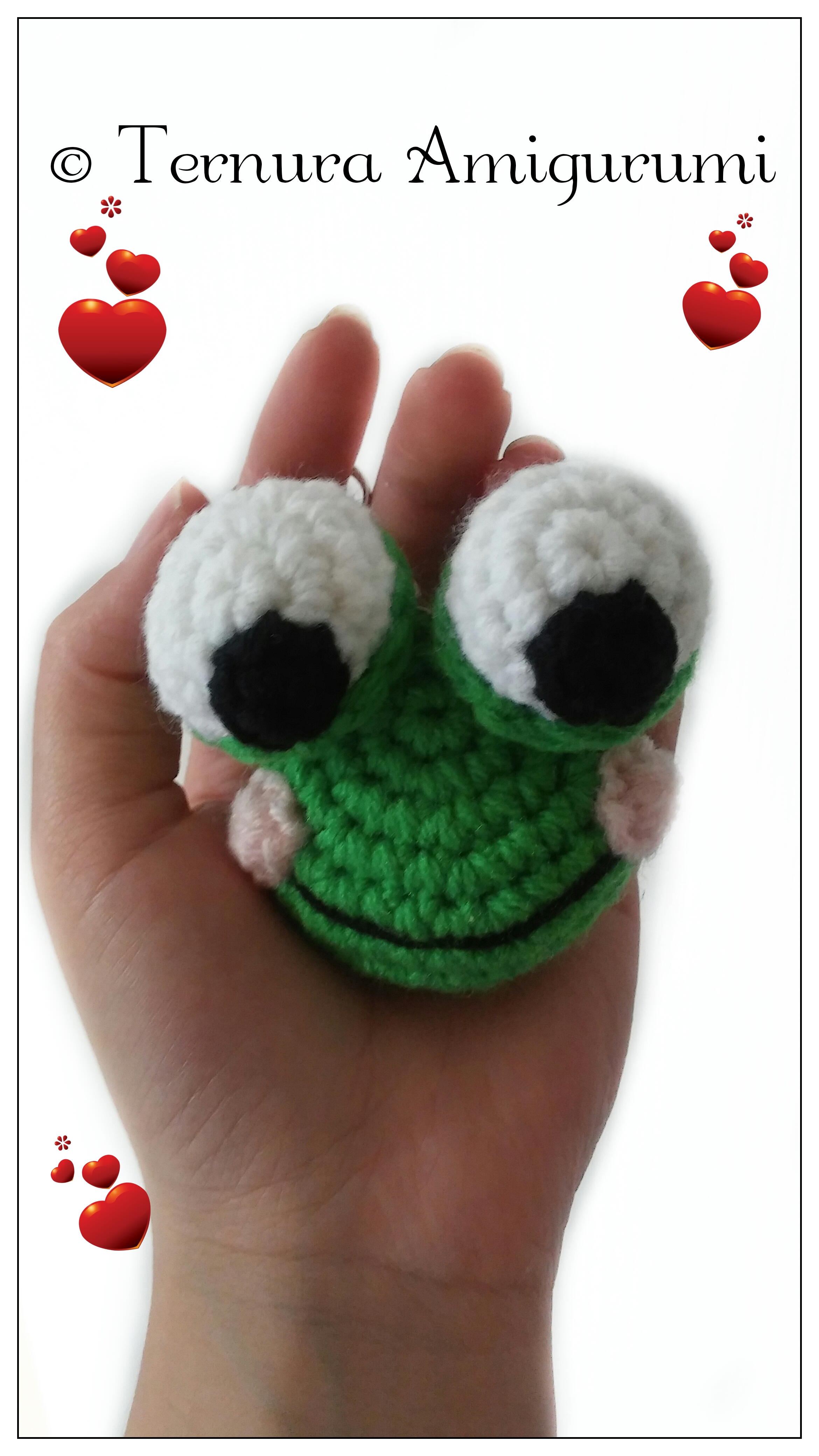 Download Book: "ali Gator E Book Cozy Crochet Pattern English Edition