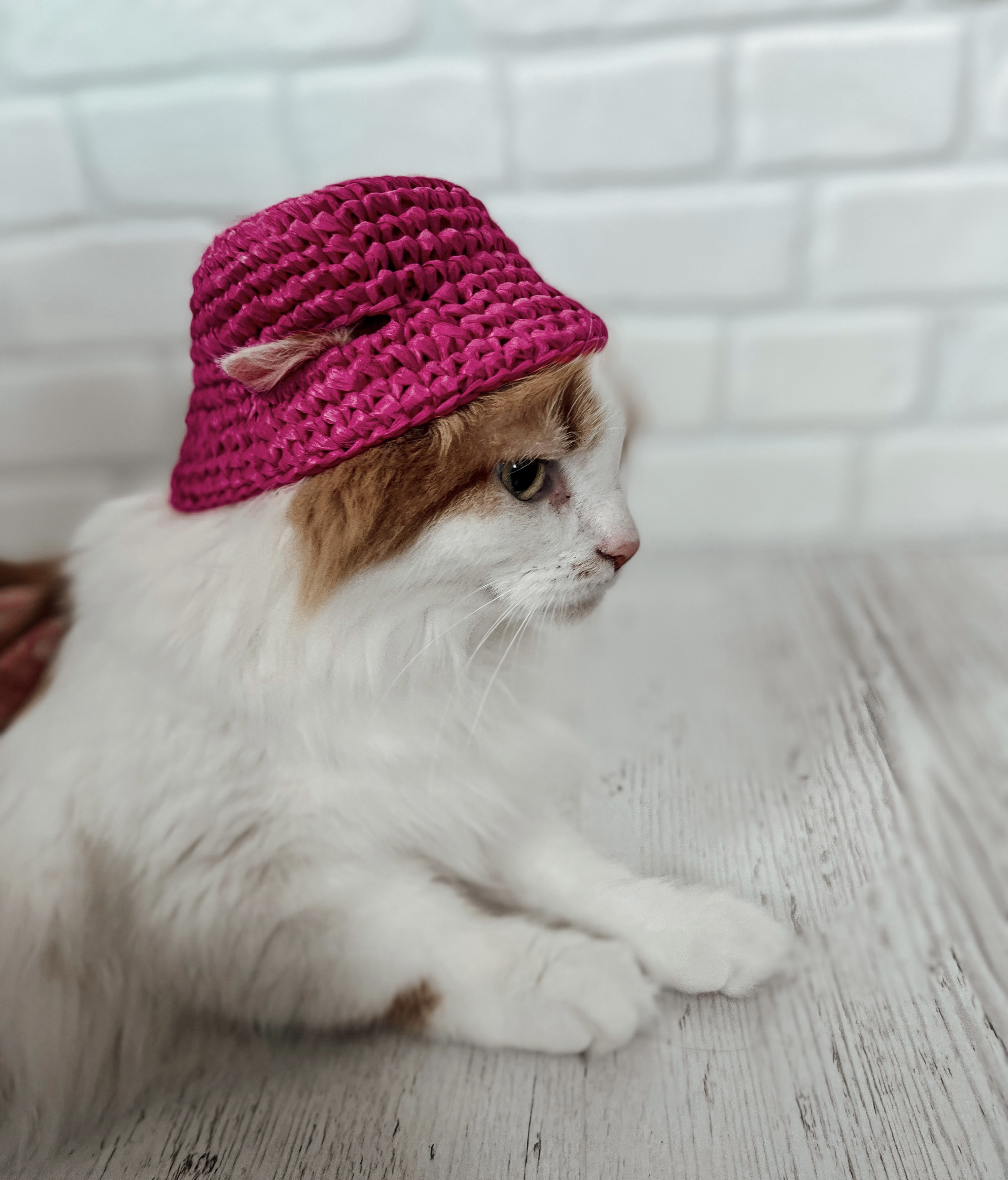 Pink bucket hat for cats and small dogs crochet pattern PDF digital